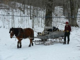 Sugaring with Art Krueger thumbnail