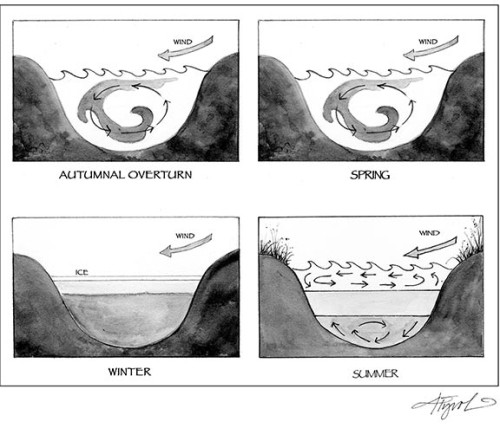 Lakes Spring Back to Life thumbnail