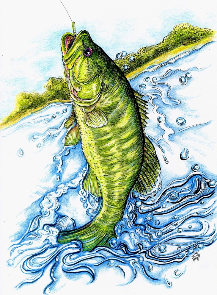 Largemouth bass