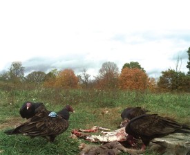 lead_bullets_winter15.jpg thumbnail