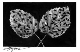 leaf_beetle_web.jpg thumbnail