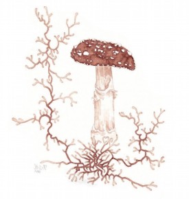 Lichen ink thumbnail