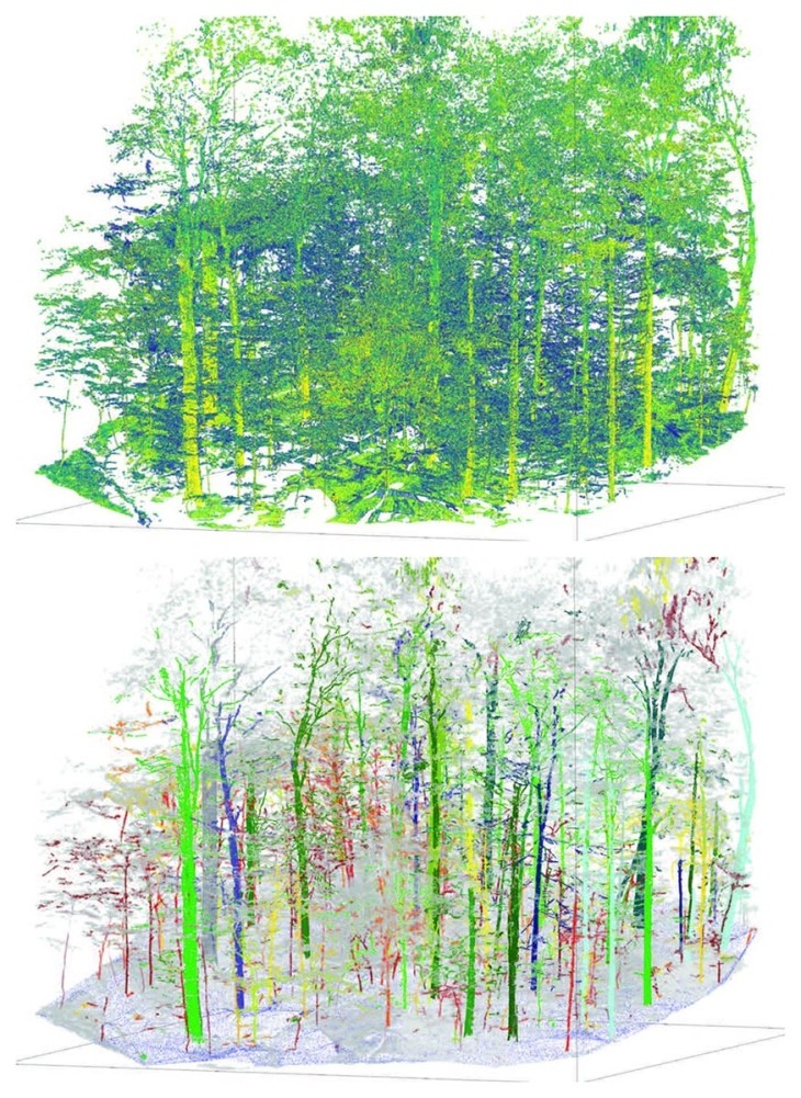 Using Terrestrial Lidar for Accurate Forest Carbon Inventories