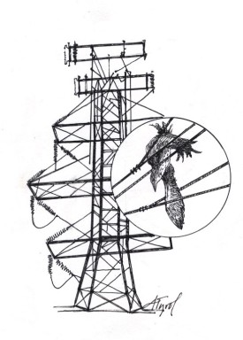 Light_pollution.jpg thumbnail