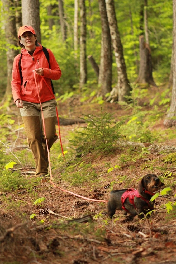 Learning About Conservation Dogs with Lindsay Ware