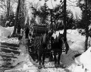 I Have Earned My Place: A Logger’s Year, 1936 thumbnail