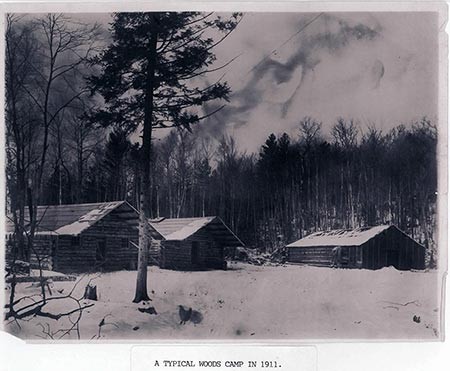 I Have Earned My Place: A Logger's Year, 1936