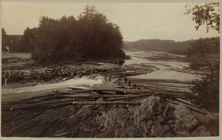 Logging