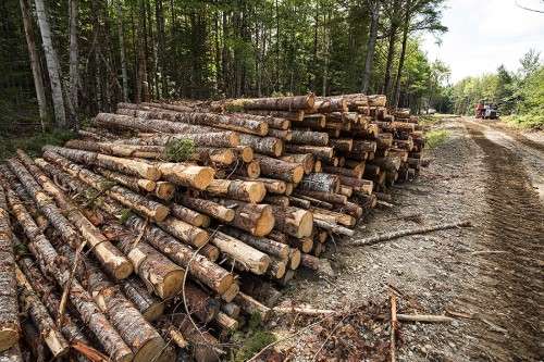 Log landing