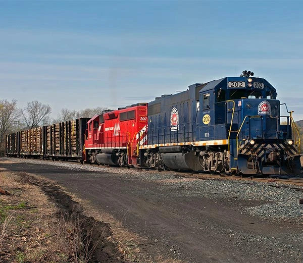 logstrain.jpg