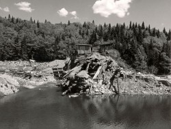 Of Trout and Trees Photo: NH Dam Bureau Collection