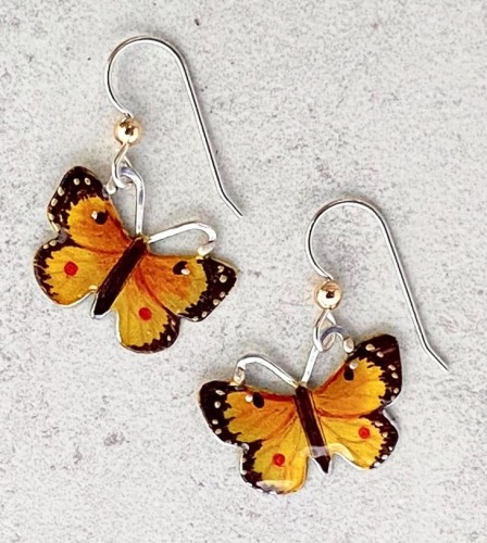 Orange Sulfur Butterfly