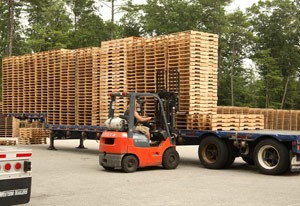 Lumber, Chips, and Sawdust: For Sawmills, There's No Such Thing as Waste thumbnail