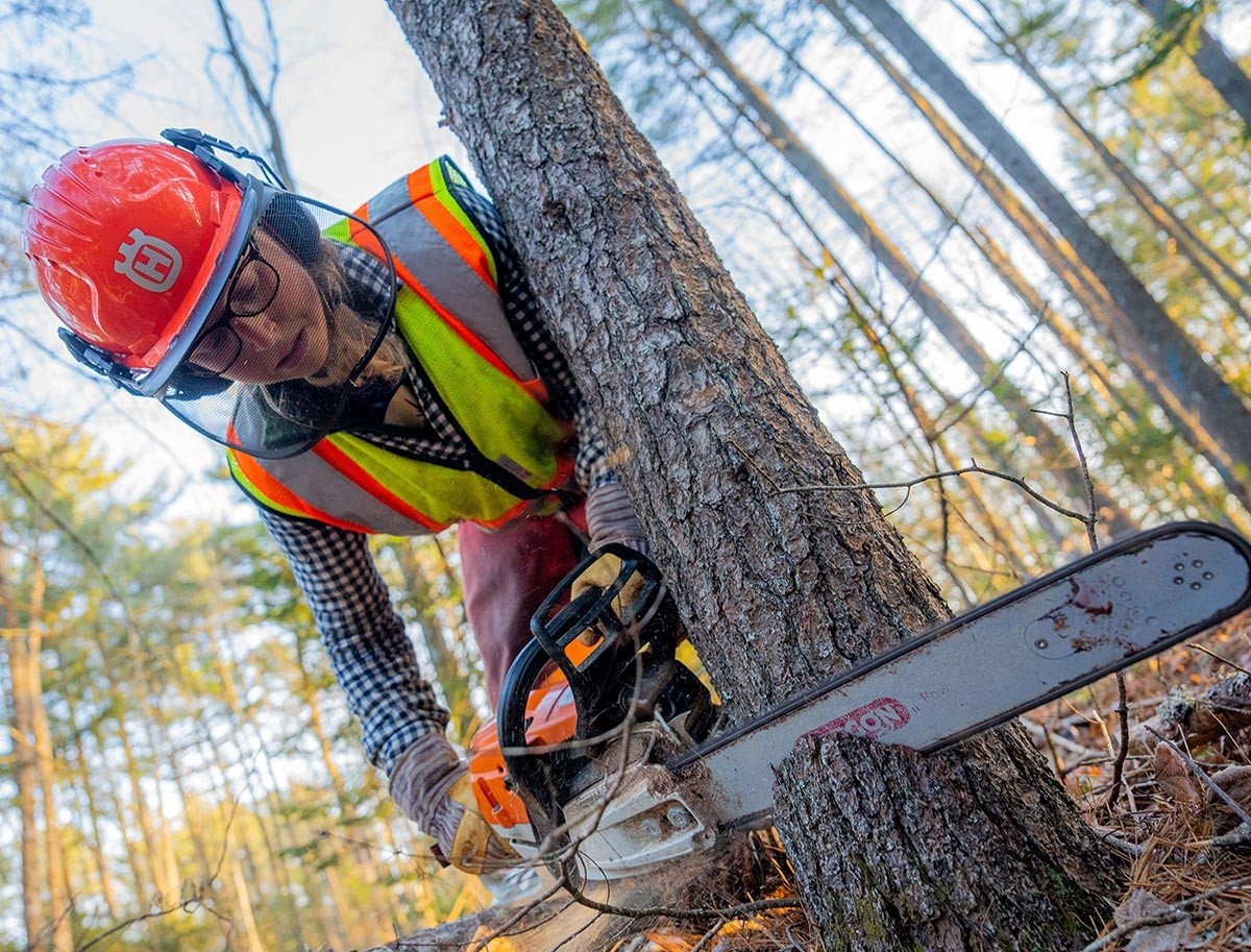 Strengthening the Field: How Women are Making Strides in the Forestry Profession