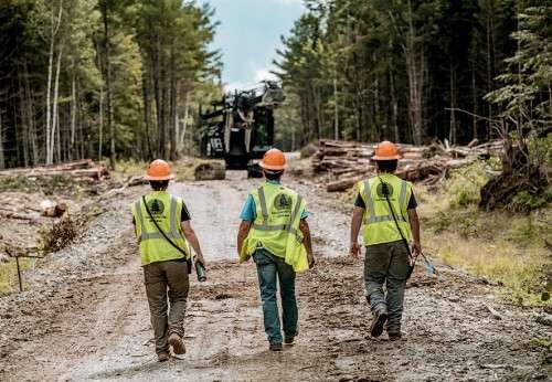 Maine Logging Students