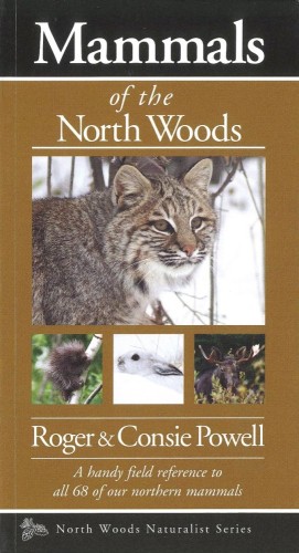 Mammals of north woods Image