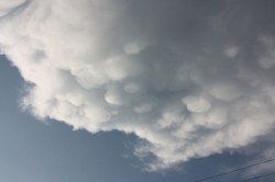 mammatus800.jpg