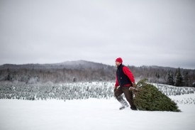 Growing Christmas Trees and Tasting Whiskey with Nigel Manley thumbnail