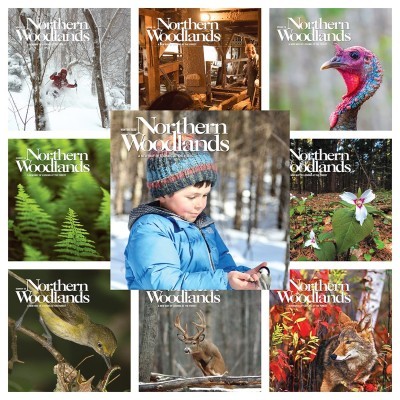 Northern Woodlands Goes to School