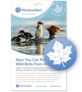 Maple leaf decals thumbnail