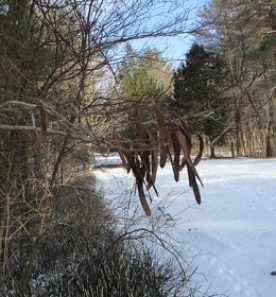 march_18_mystery.jpg thumbnail