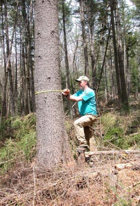 markus3_cropped.jpg thumbnail