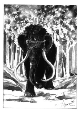 Mastadon.jpg thumbnail