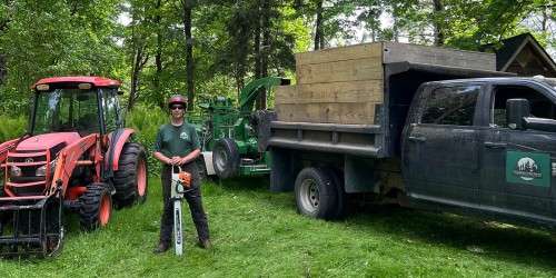 Tree work gear