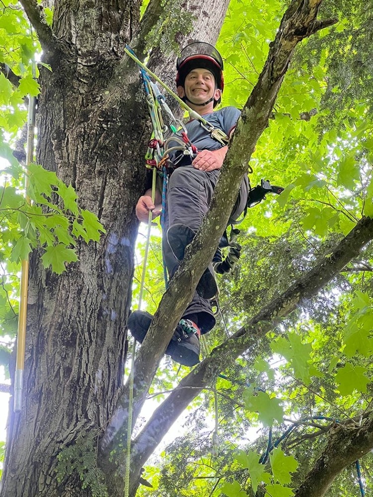 In the Trees with Matthew Nola