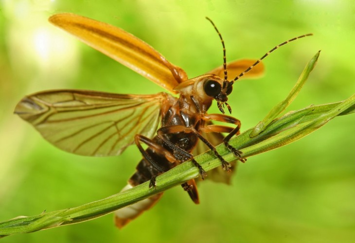 May2610_contest_pic.jpg Image