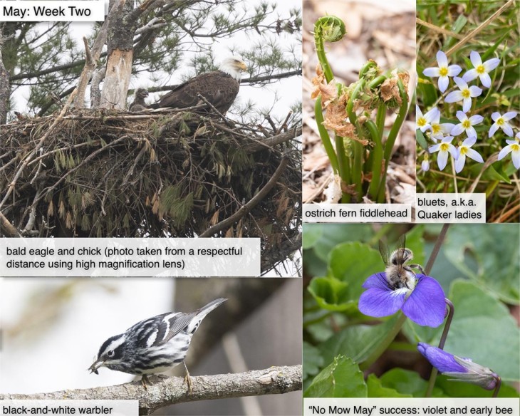 May nature