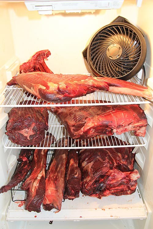 Lessons in Butchering Venison