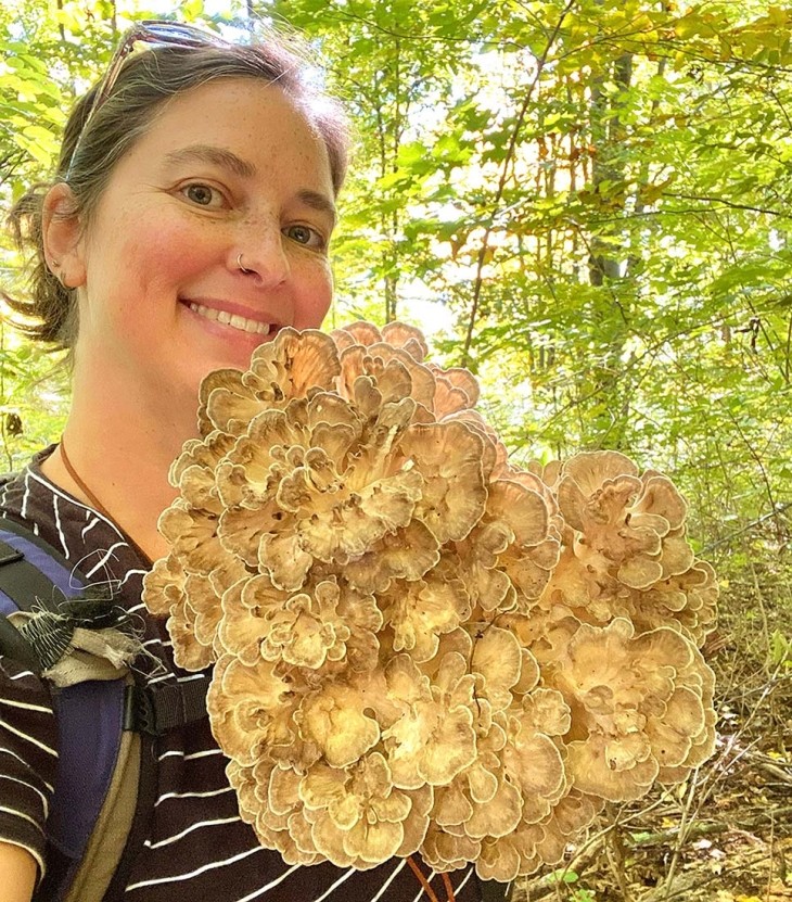 Growth of a Fungi Advocate