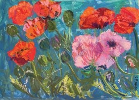 Red poppies thumbnail