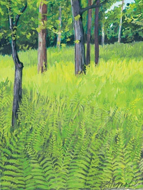 Microscope_Fern_300.jpg