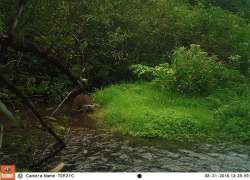 Late Summer in Mid-March Photo: Northern Woodlands