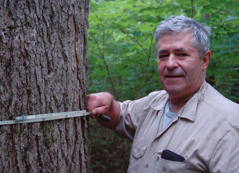 A Man With a Mission: Mike Greason Preached the Gospel of Silviculture thumbnail