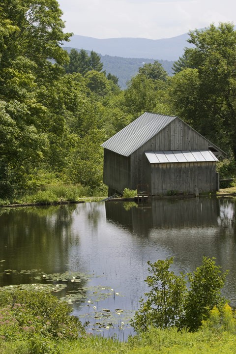 The Thunderstorm Mill: Making Lumber the Old-Fashioned Way thumbnail