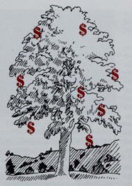 It Looks Like Your Father Was Right: Money Doesn't Grow On Trees thumbnail