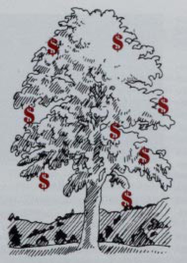 It Looks Like Your Father Was Right: Money Doesn't Grow On Trees