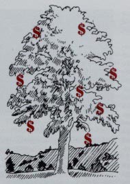 money.jpg