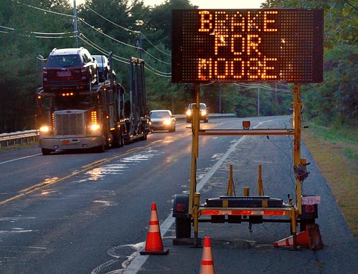 How Did the Moose Cross the Road? Reconnecting a Broken Landscape