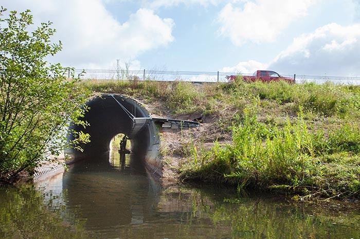 How Did the Moose Cross the Road? Reconnecting a Broken Landscape