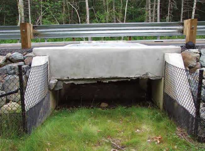 How Did the Moose Cross the Road? Reconnecting a Broken Landscape