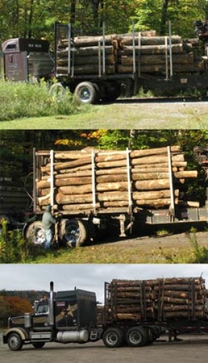 More Than a Wood Truck thumbnail