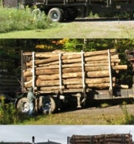 more_than_a_truckload.jpg thumbnail