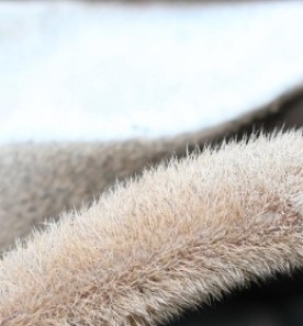 morning_pic.jpg thumbnail