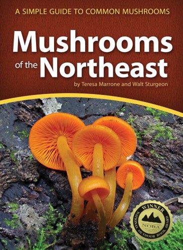 Mushrooms of the Northeast Image