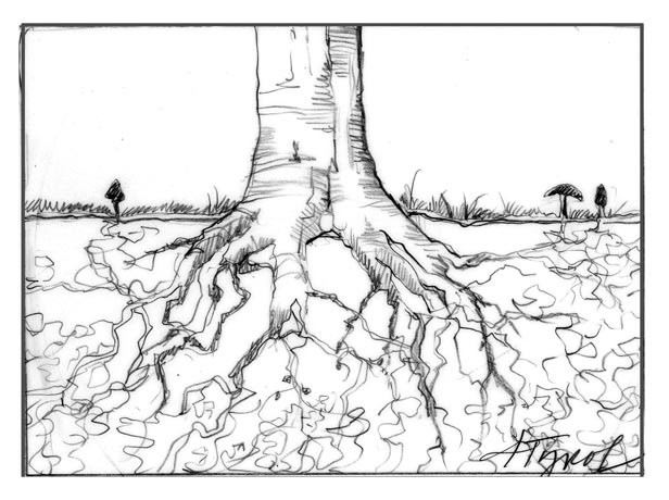 Mycorrhizal Fungi: Getting to the Root of the Matter thumbnail