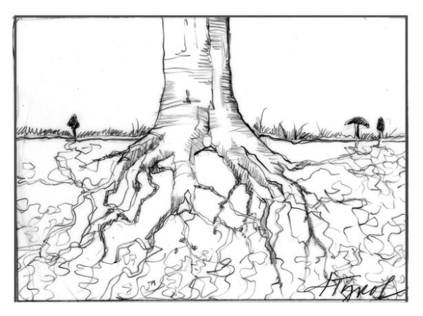 Mycorrhizal Fungi: Getting to the Root of the Matter